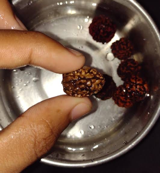 Customer photo review of Nepal Origin 3 Mukhi Rudraksha – 100% Natural & Certified