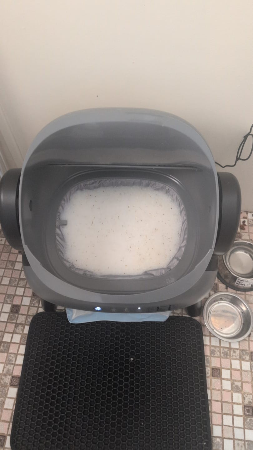 Customer photo review of Fit Litter