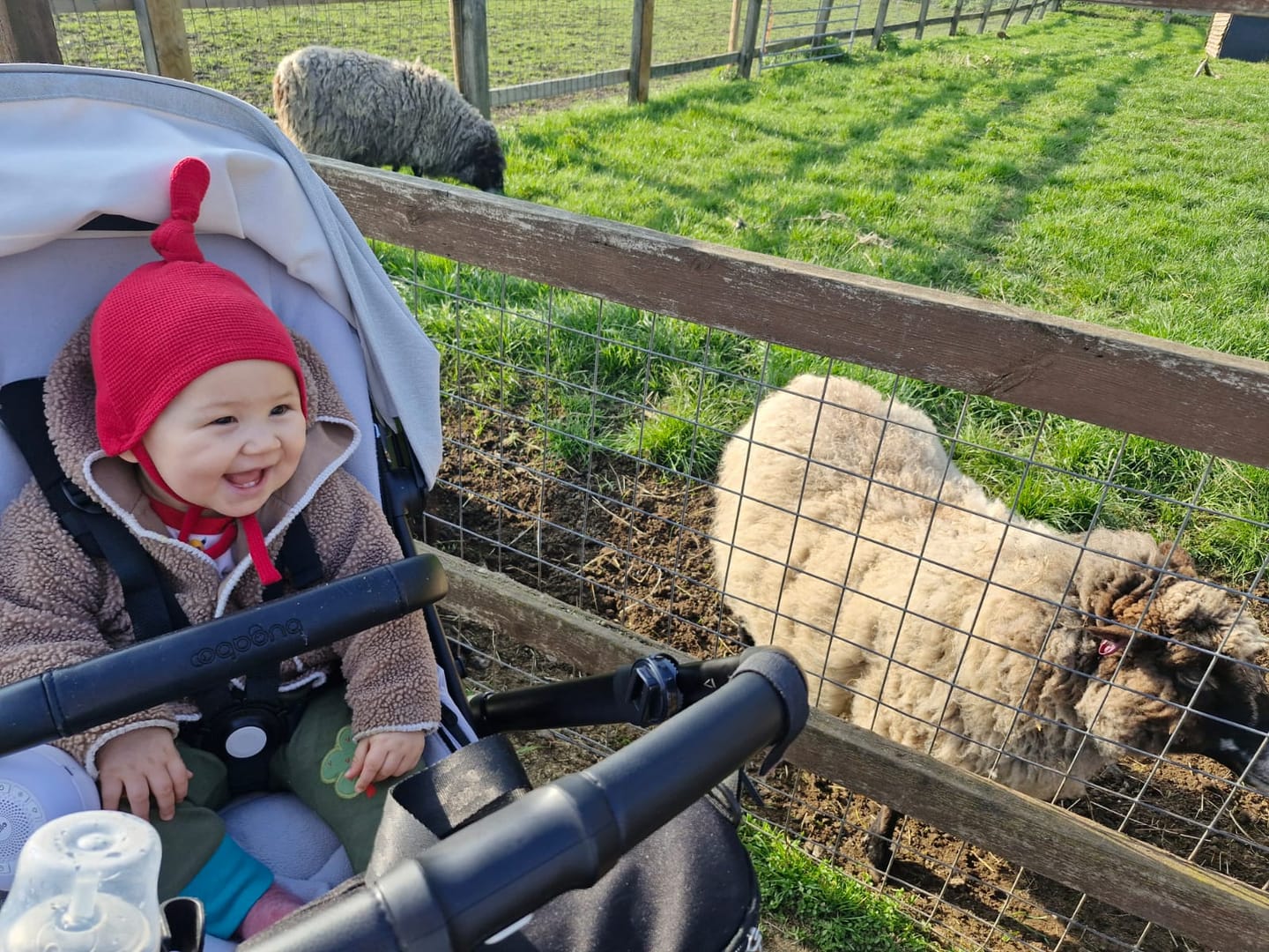 Customer photo review of Holly Berry Waffle Tie Hat