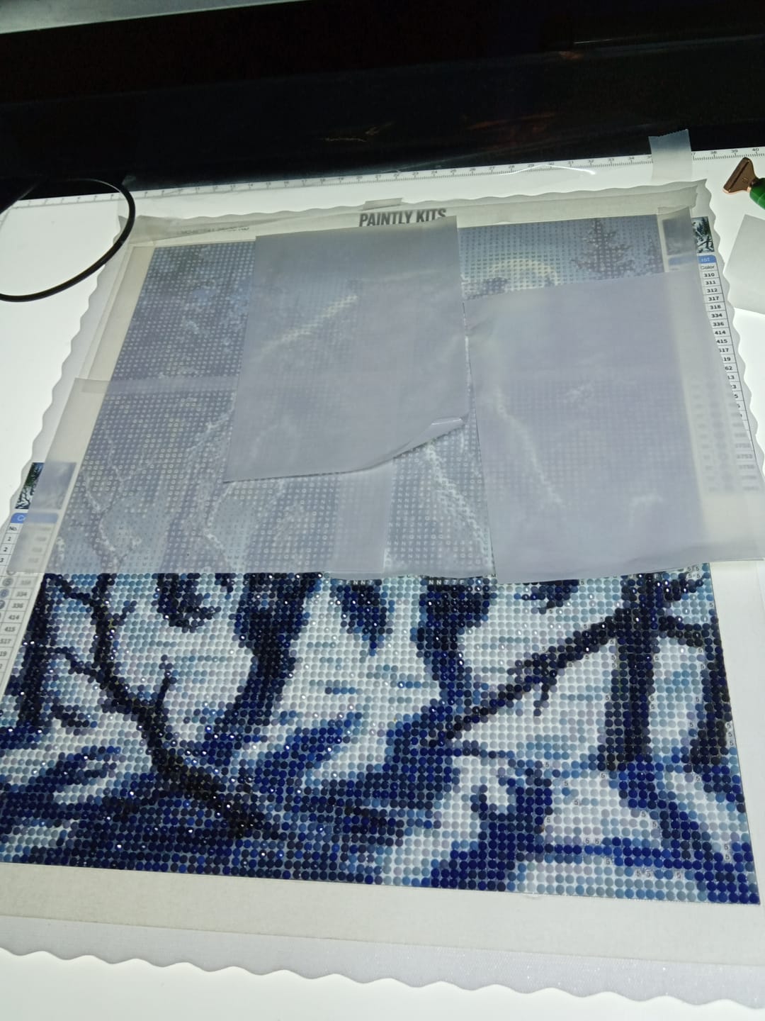 Customer photo review of The Werewolf (Diamond Painting)