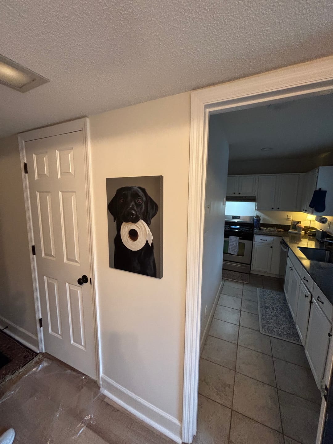 Customer photo review of Black Labrador Dog Toilet Paper