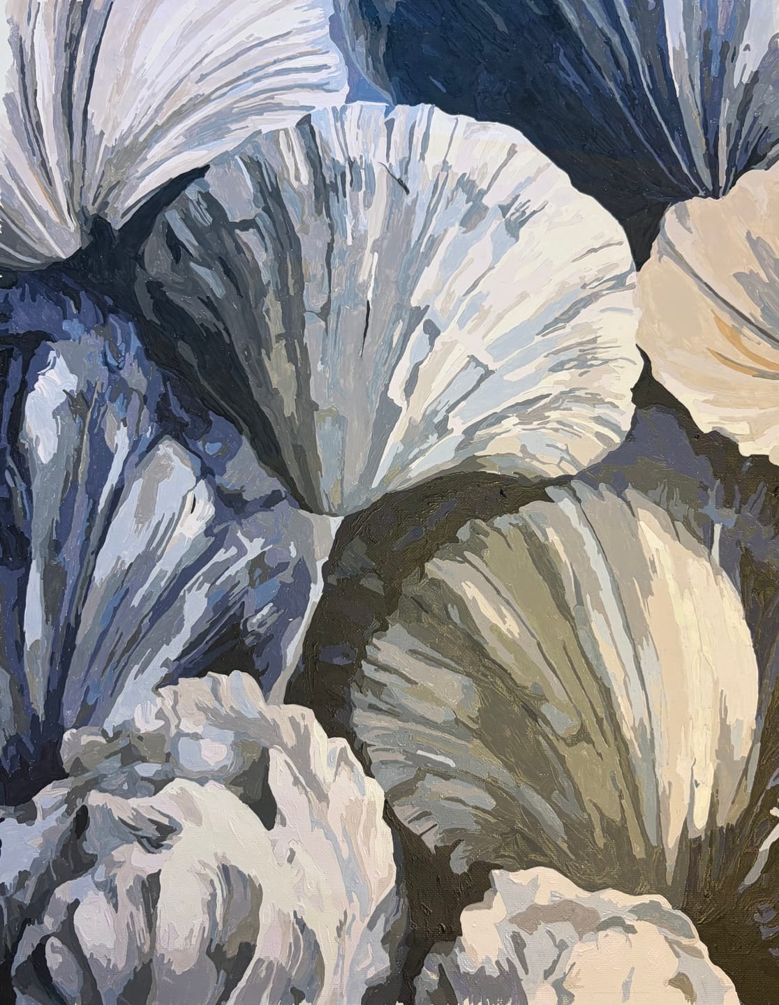 Customer photo review of Coastal Shells | Paint by Number
