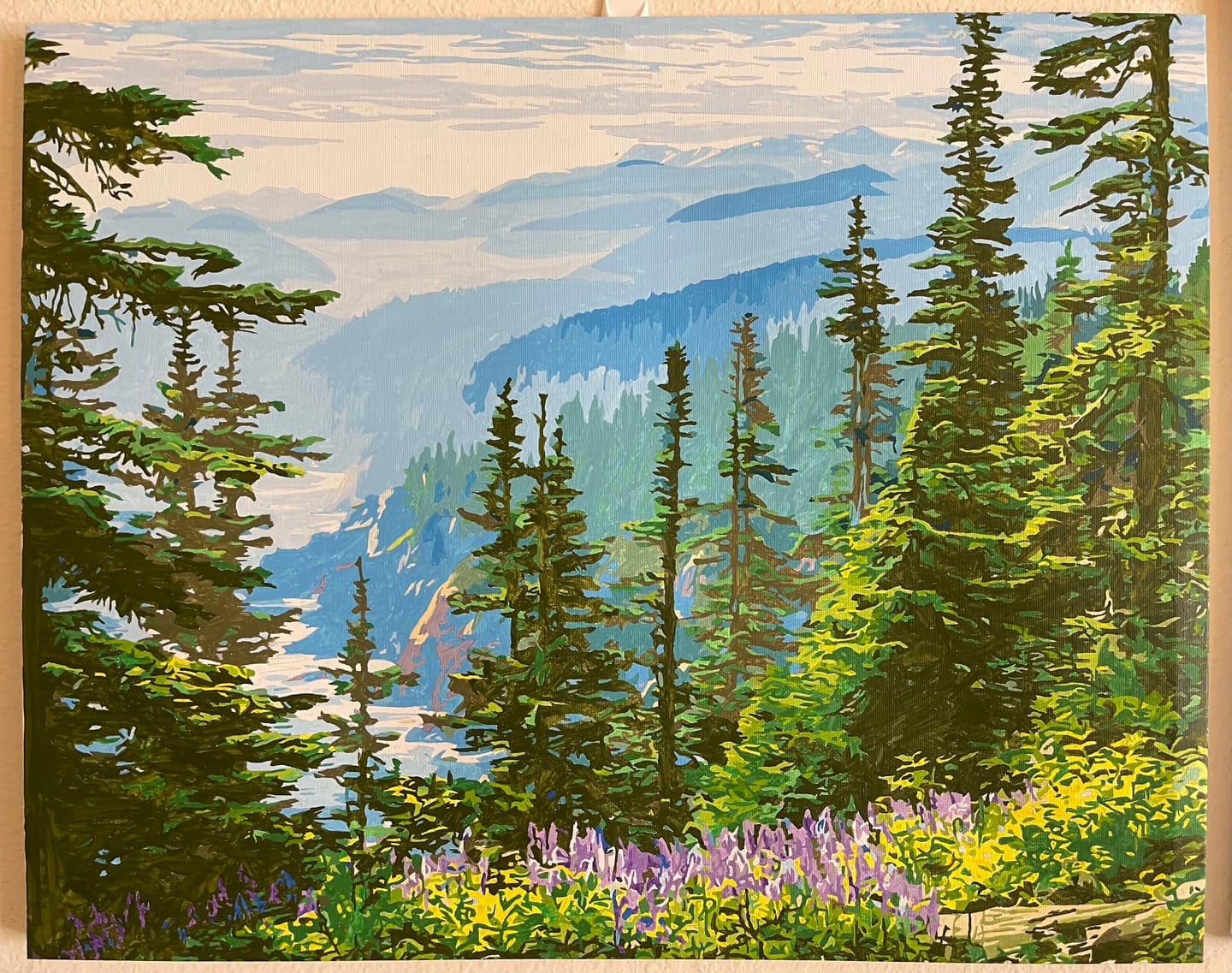 Customer photo review of Olympic National Park