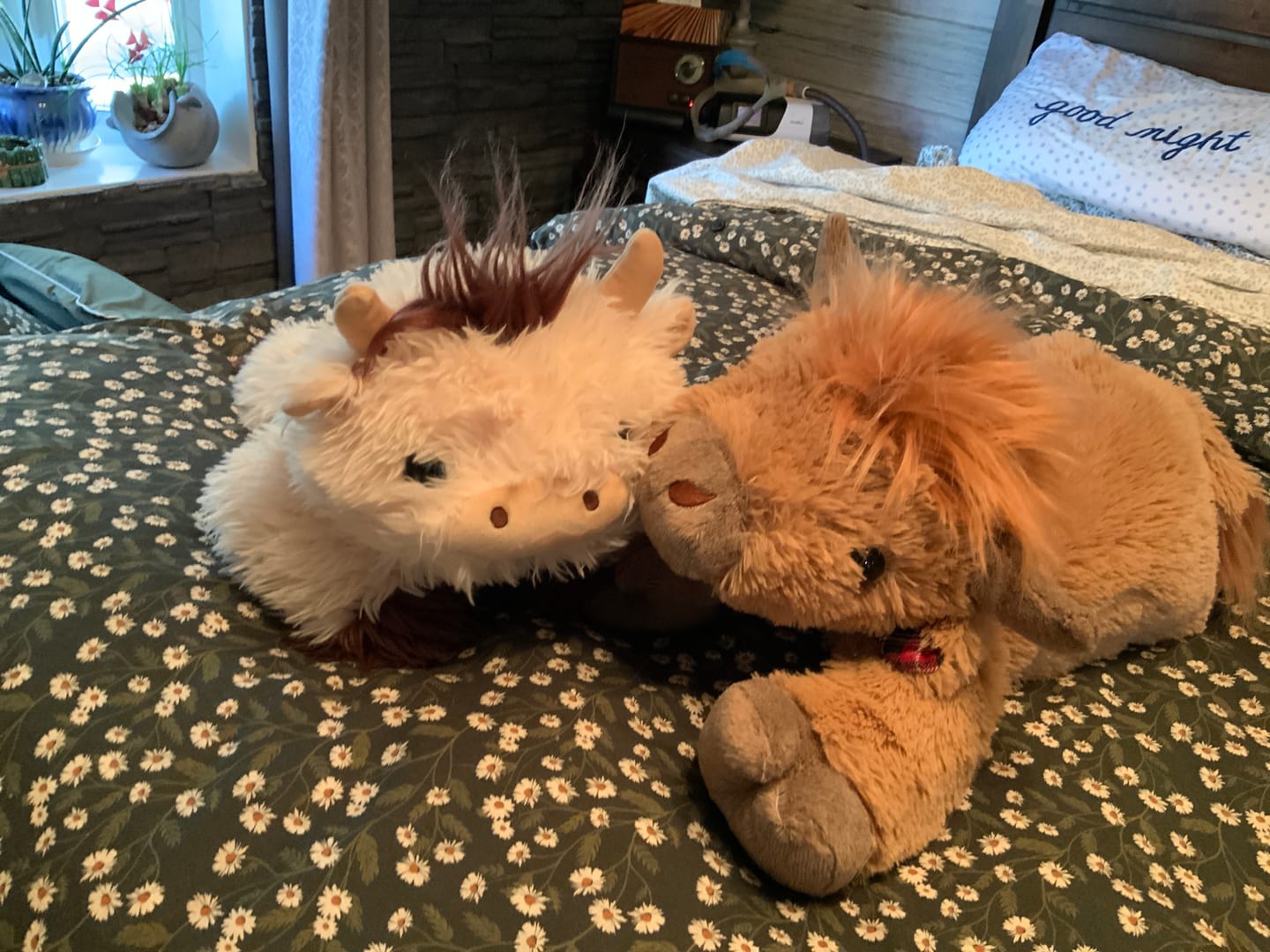 Customer photo review of MeWaii® Brown Cow Fuzzy Long Haired Weighted Stuffed Animal