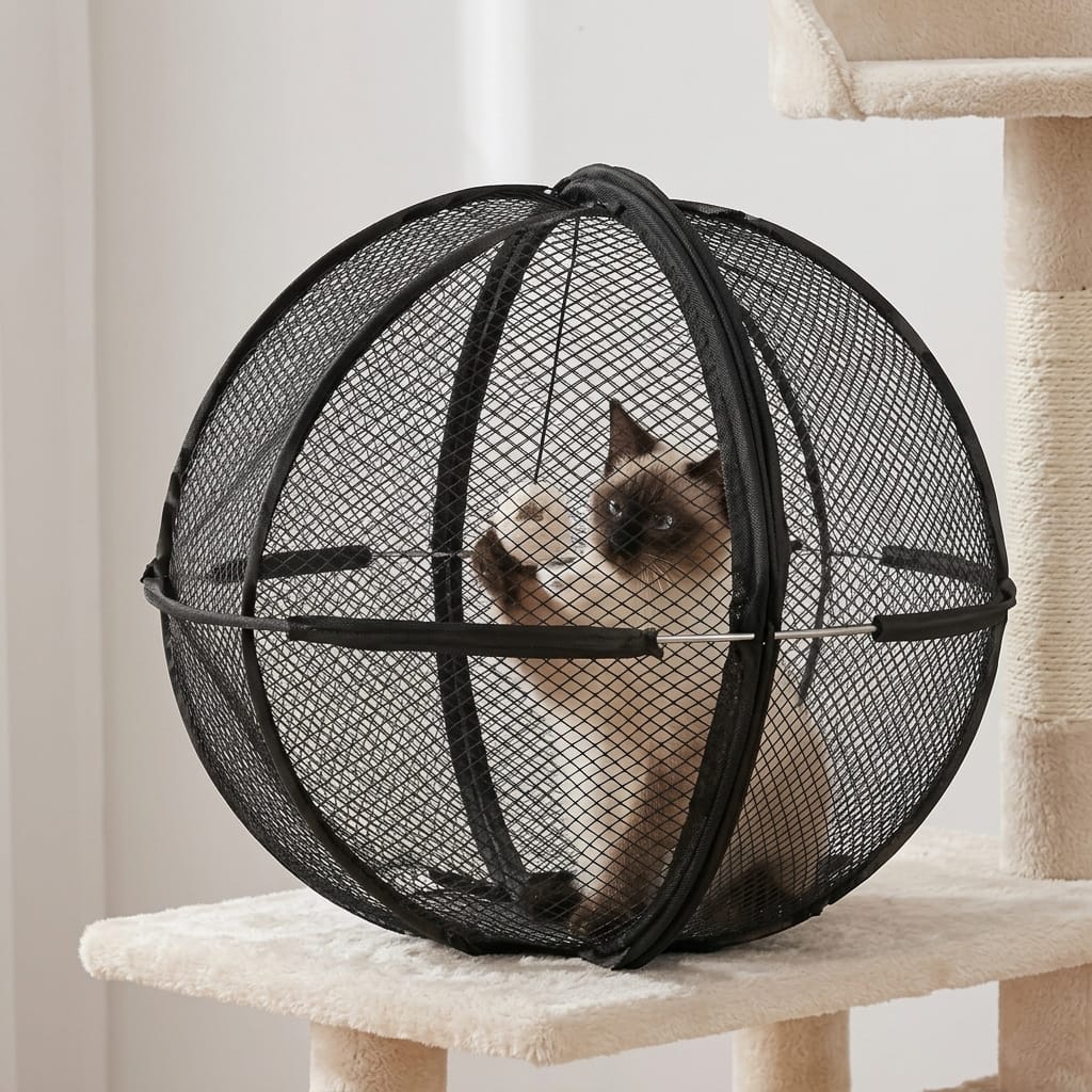 Customer photo review of RovePod™ - Refugio 360° con Ruedas para Mascotas