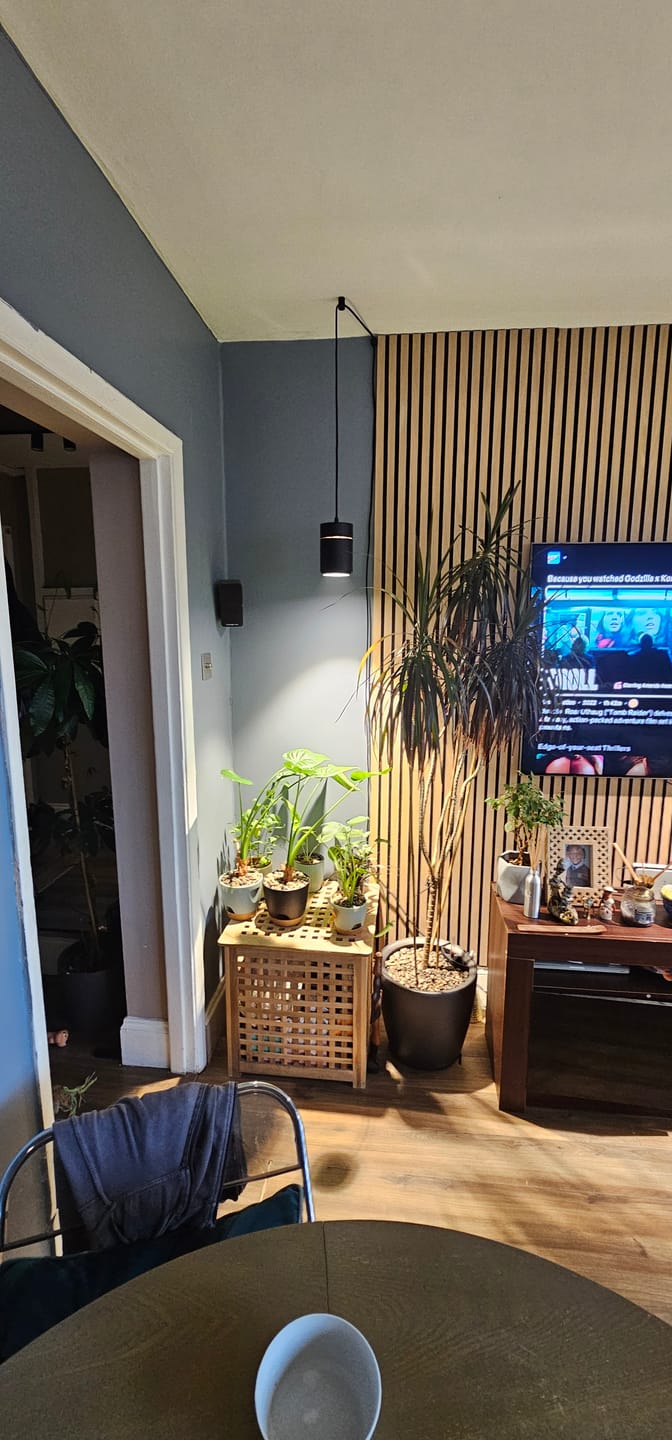 Customer photo review of Claria Grow Light Pendant: Grow Anywhere
