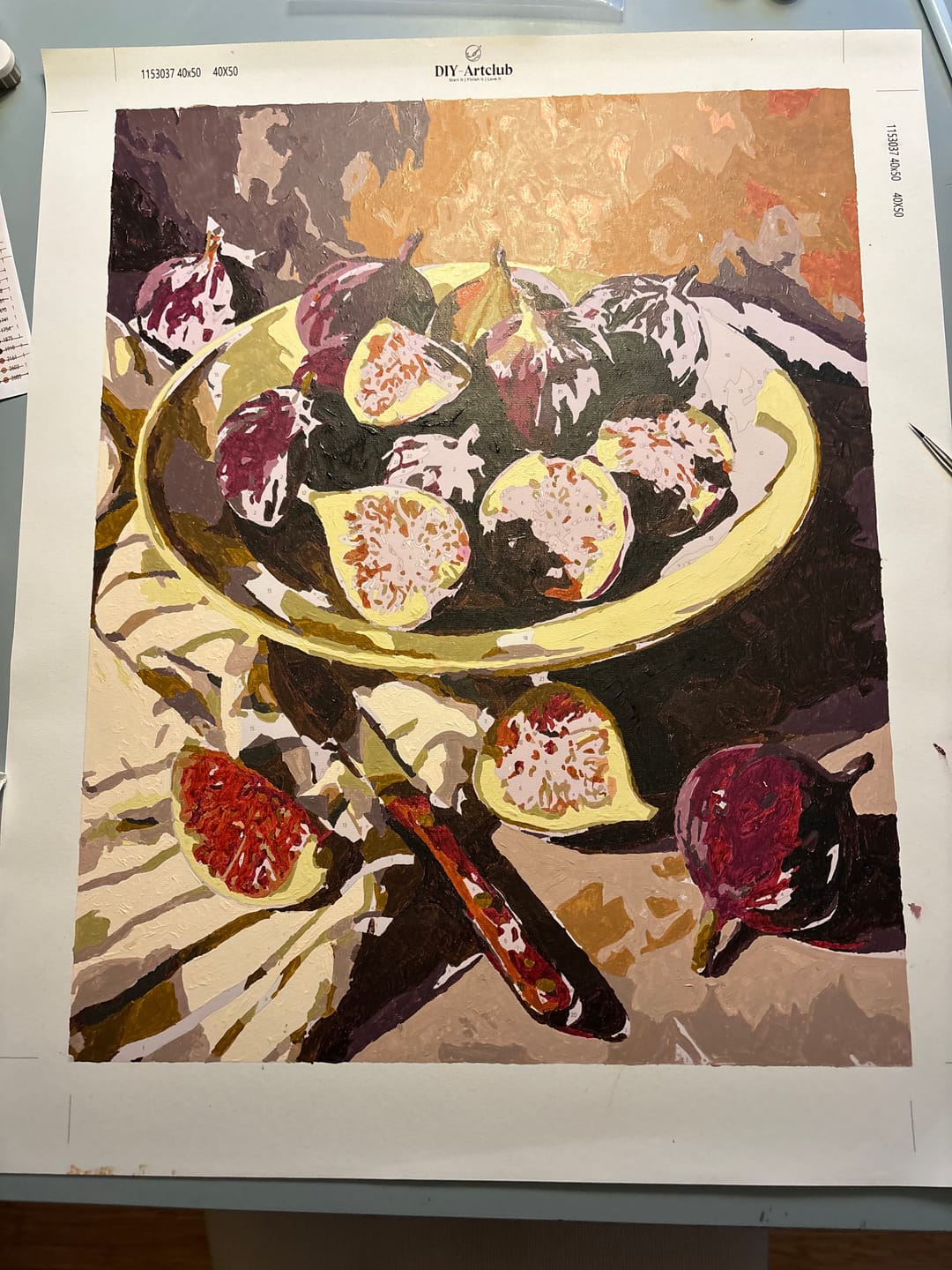 Customer photo review of Figs plate | Paint by Number