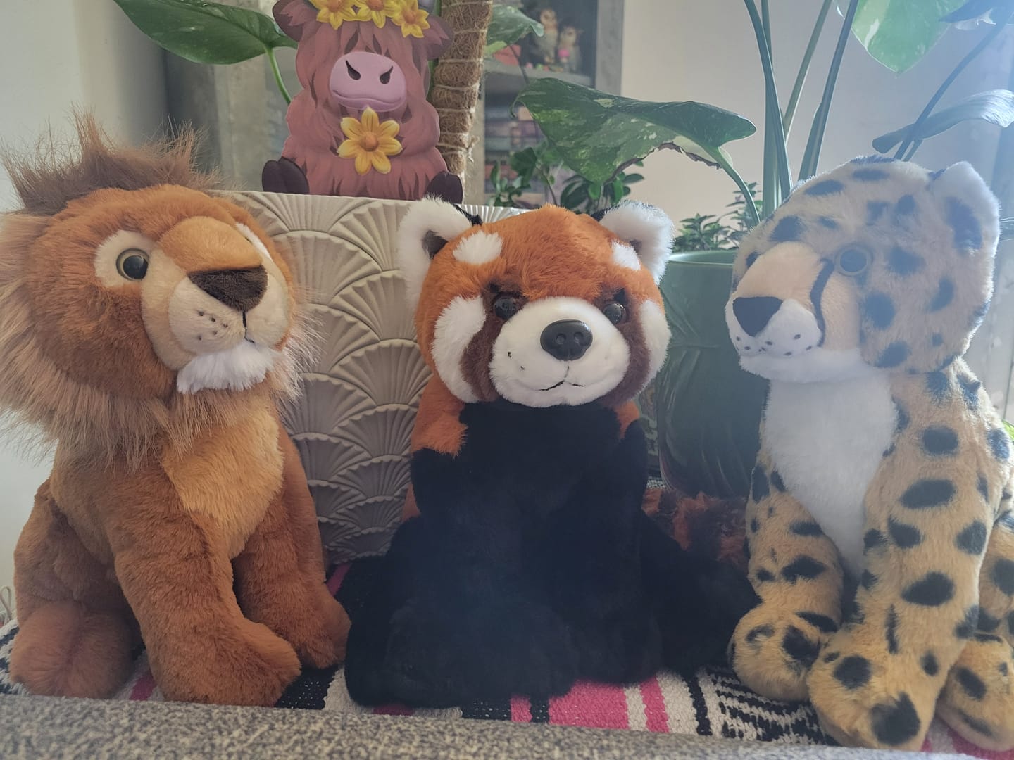 Customer photo review of The Dash Plush