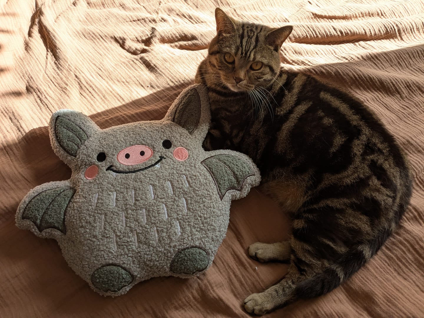 Customer photo review of Fledermaus Kissen Bouclé – Kuscheliges Dekokissen für spooky Stimmung