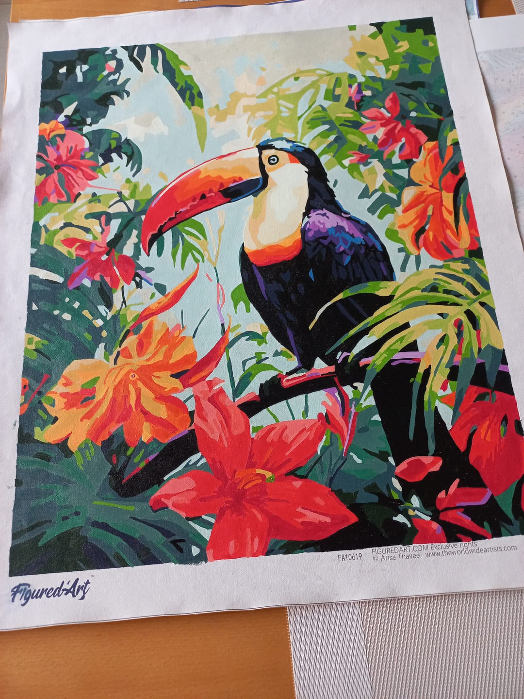Customer photo review of Toucan dans la jungle