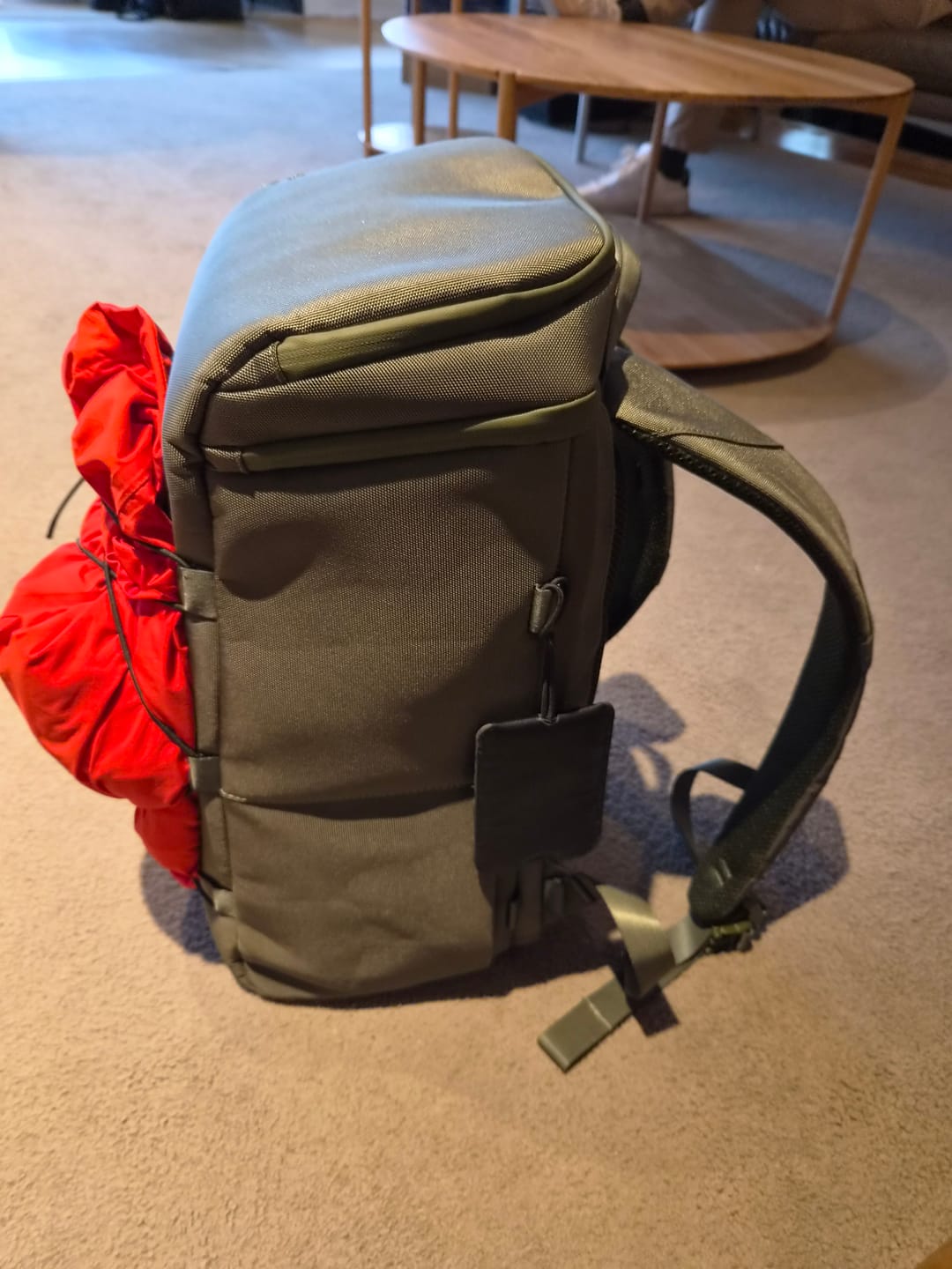 Customer photo review of The Organizer 20L