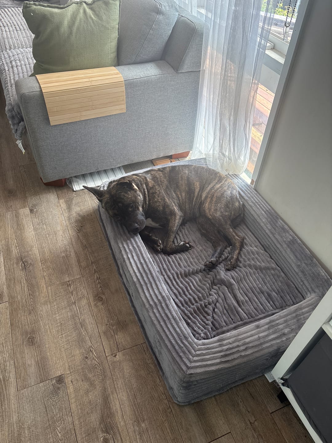 Customer photo review of Pet Calming Bed – Waterproof & Washable