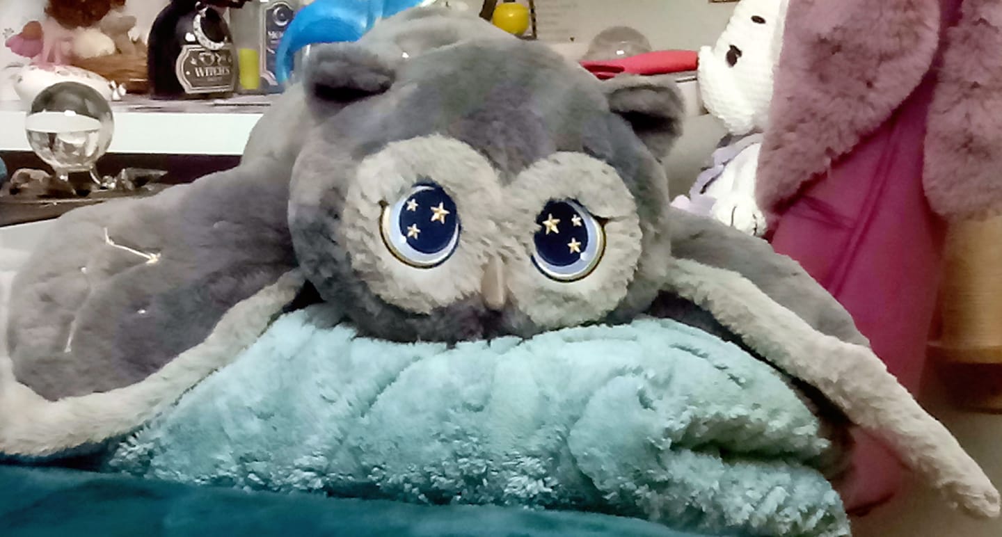 Customer photo review of MeWaii® Owl Weighted Stuffed Animal