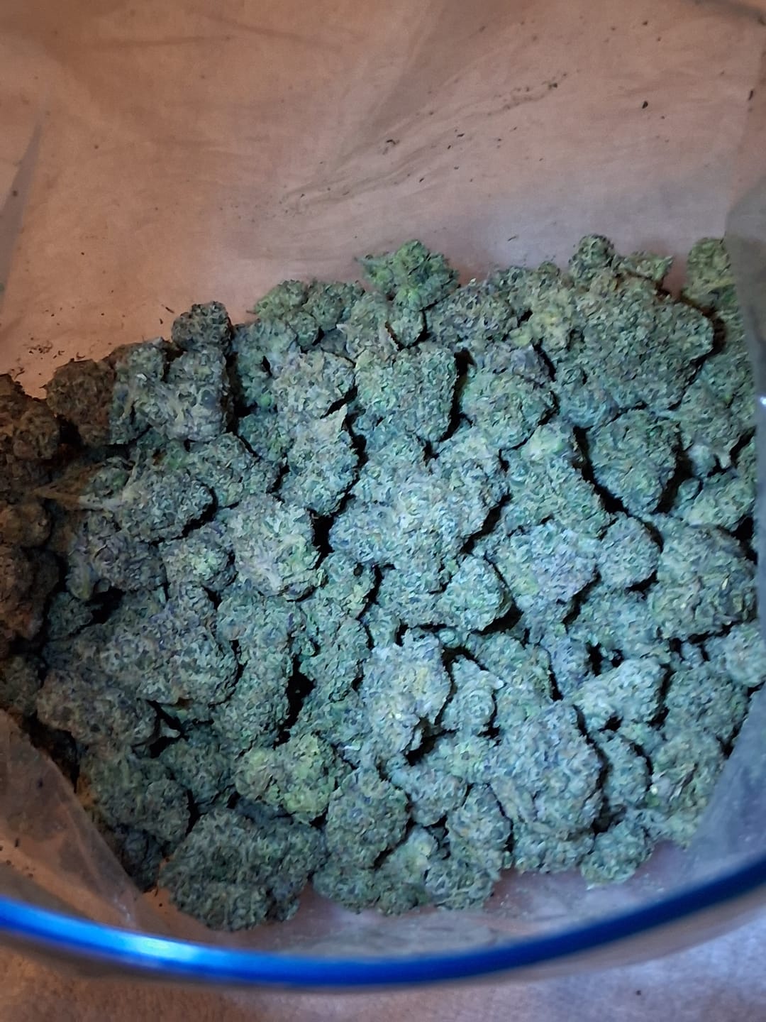 Customer photo review of Bulk Indoor THCA Smalls
