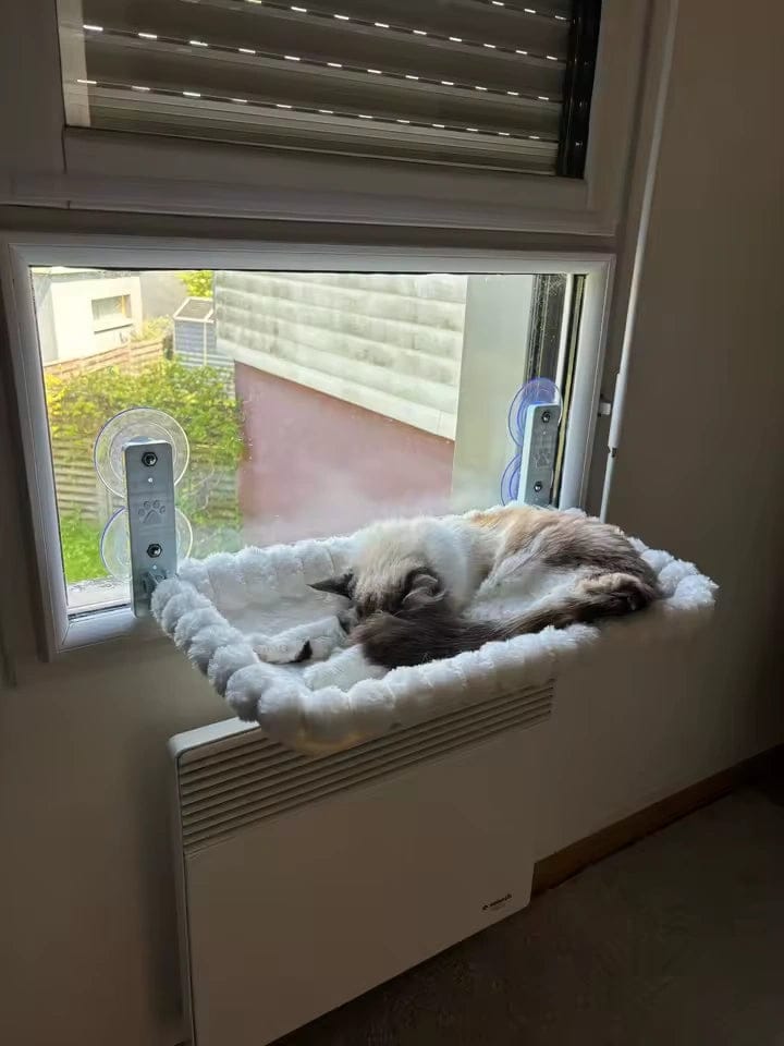 Customer photo review of Hamac de fenêtre rembourré pour chat — Vindu
