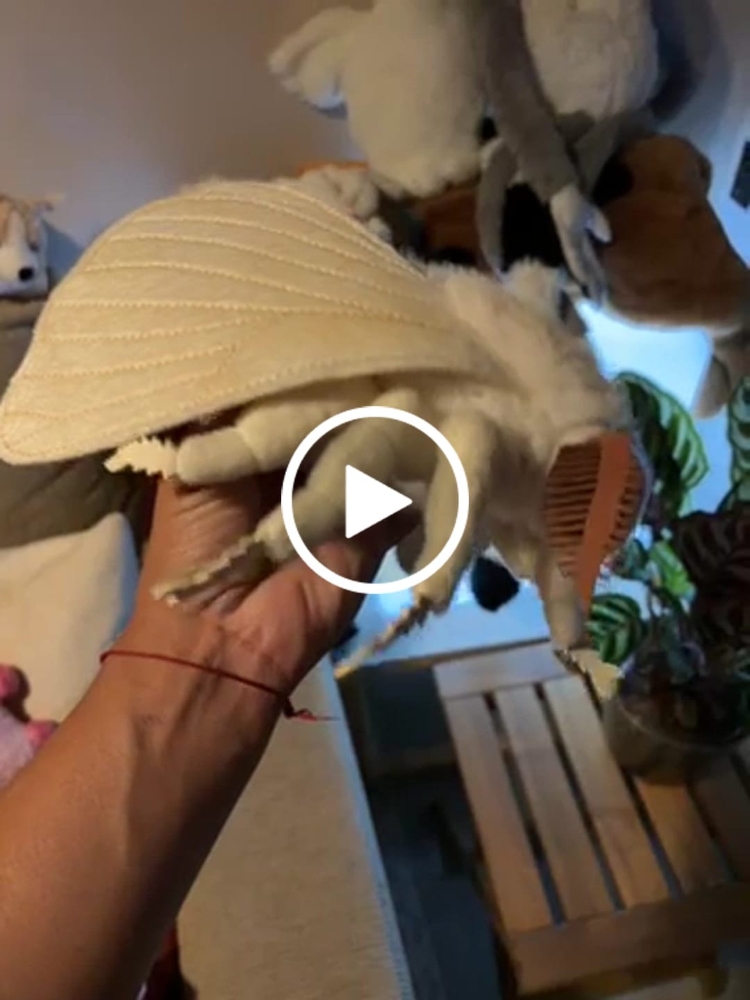 Customer video review of Silkworm Moth Soft Stuffed Plush Toy