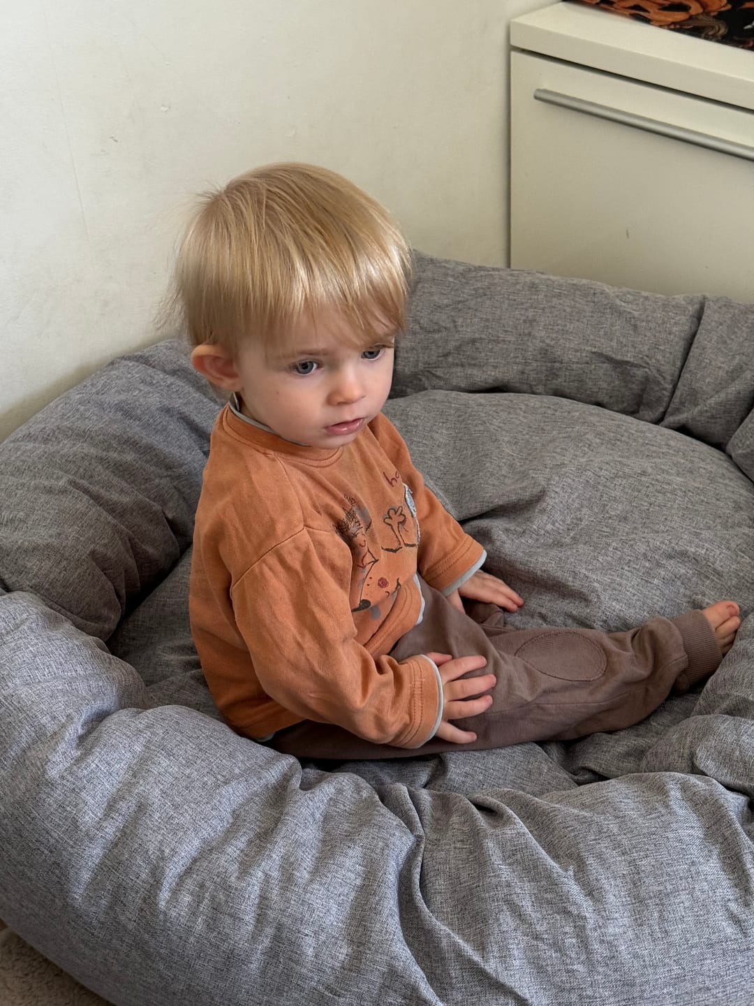 Customer photo review of CalmBed - Pälsfritt Överdrag