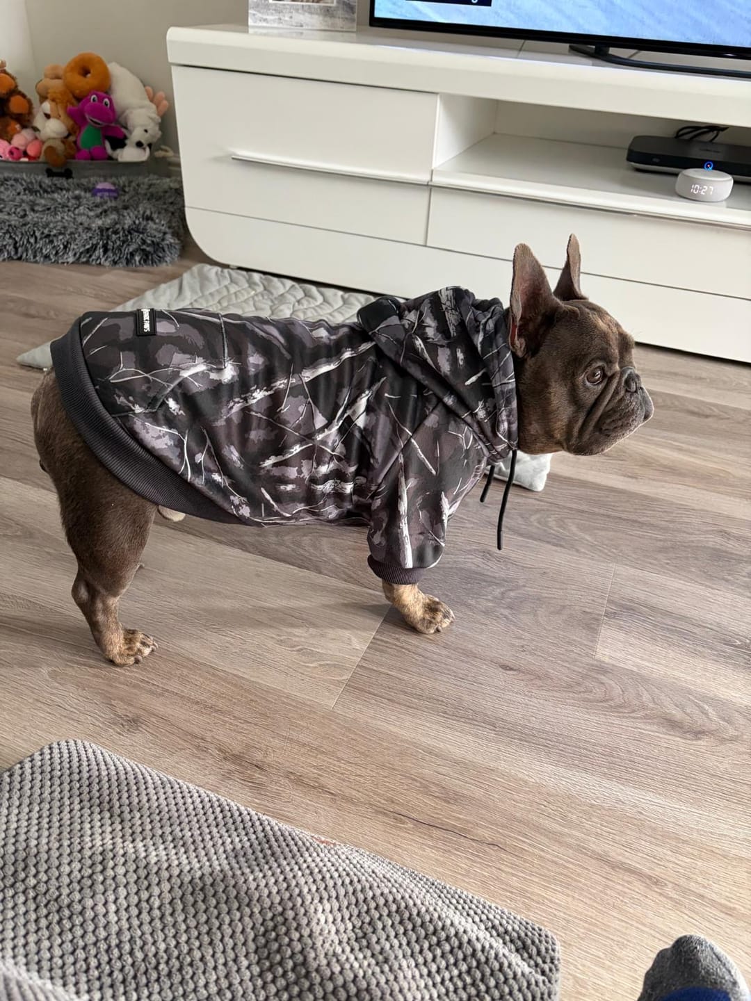 Customer photo review of Concrete Wood Dog Hoodie - Asphalt