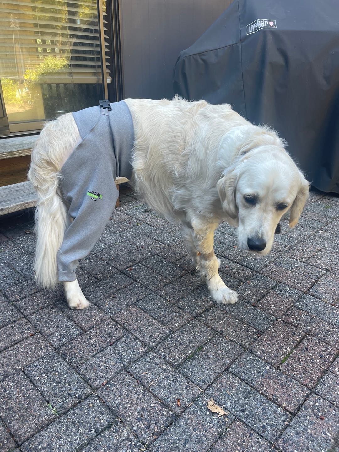 Customer photo review of Lick Sleeve® Leg Sleeve