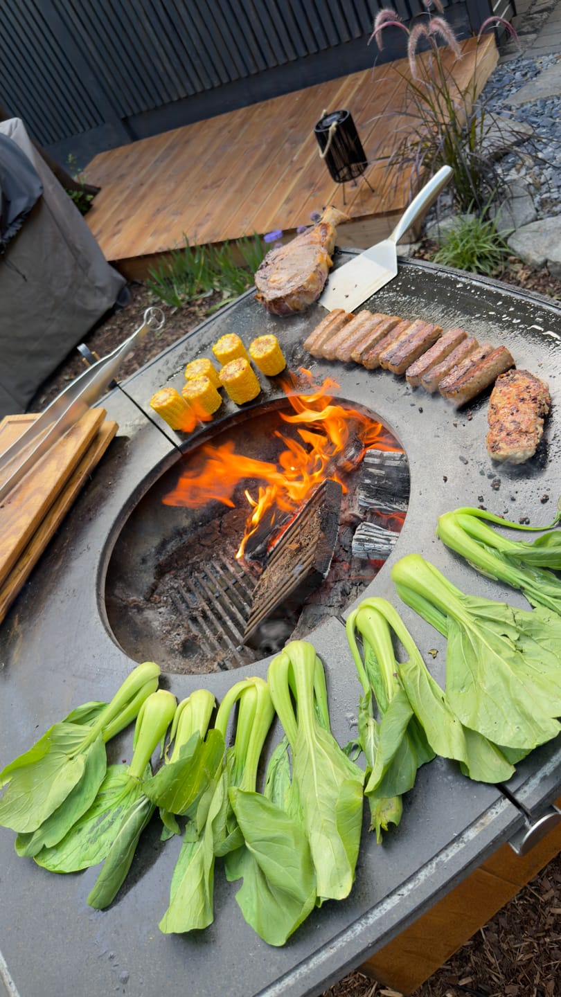 Customer photo review of MOESTA ONE FirePlace – Premium Feuerplattengrill