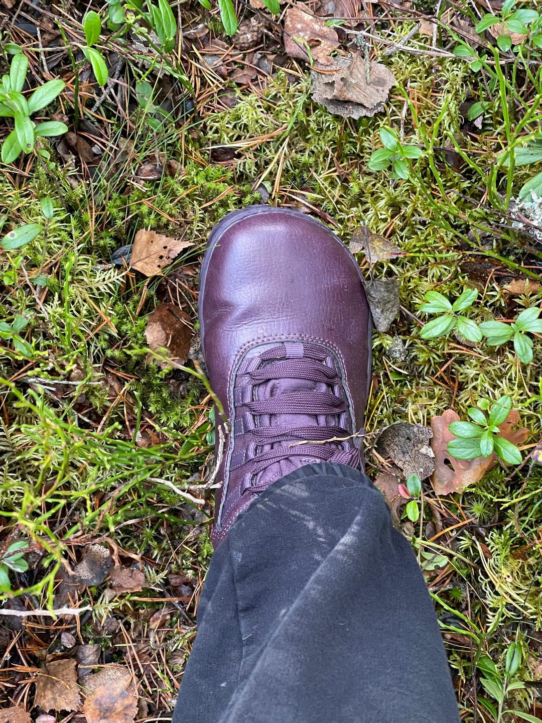 Customer photo review of Vaistoa Uoma 2 -paljasjalkavaelluskengät