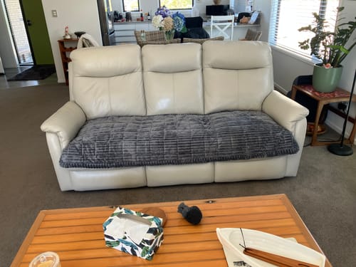 Customer photo review of Cosy Couch - Couch Cover