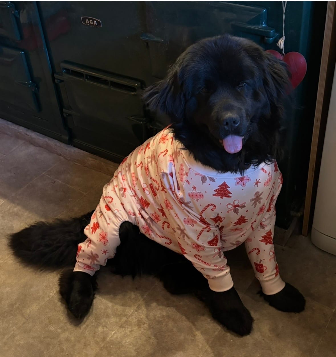 Customer photo review of Dog Pajama Prints