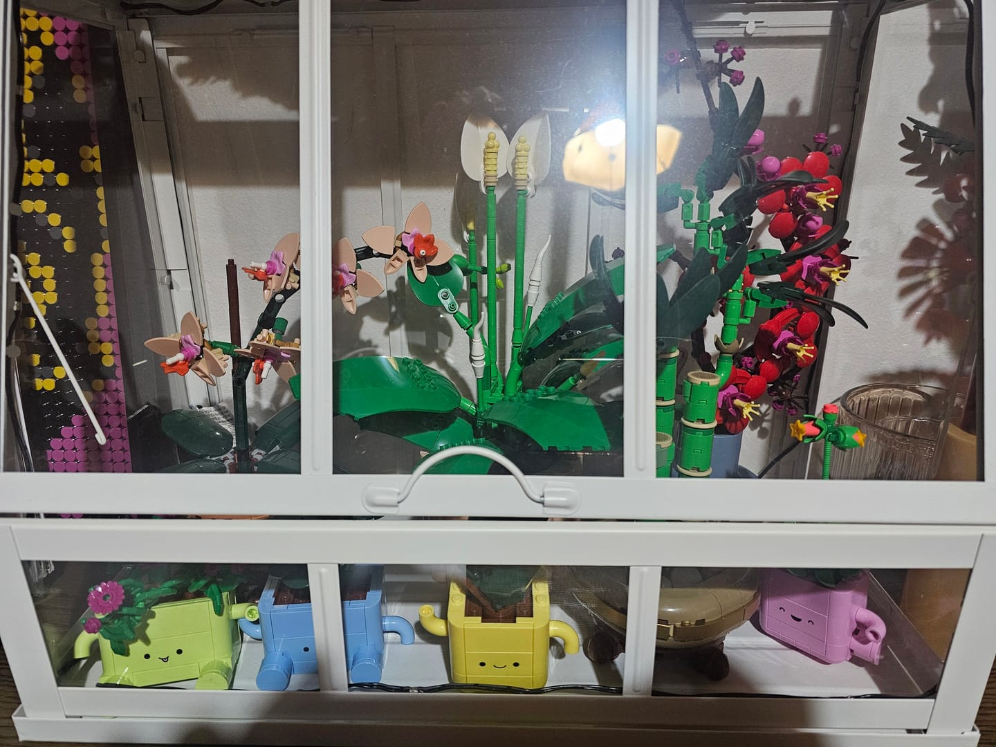 Customer photo review of PACK BOTANICALS : Plantas Felices Y Plantas Danzarinas