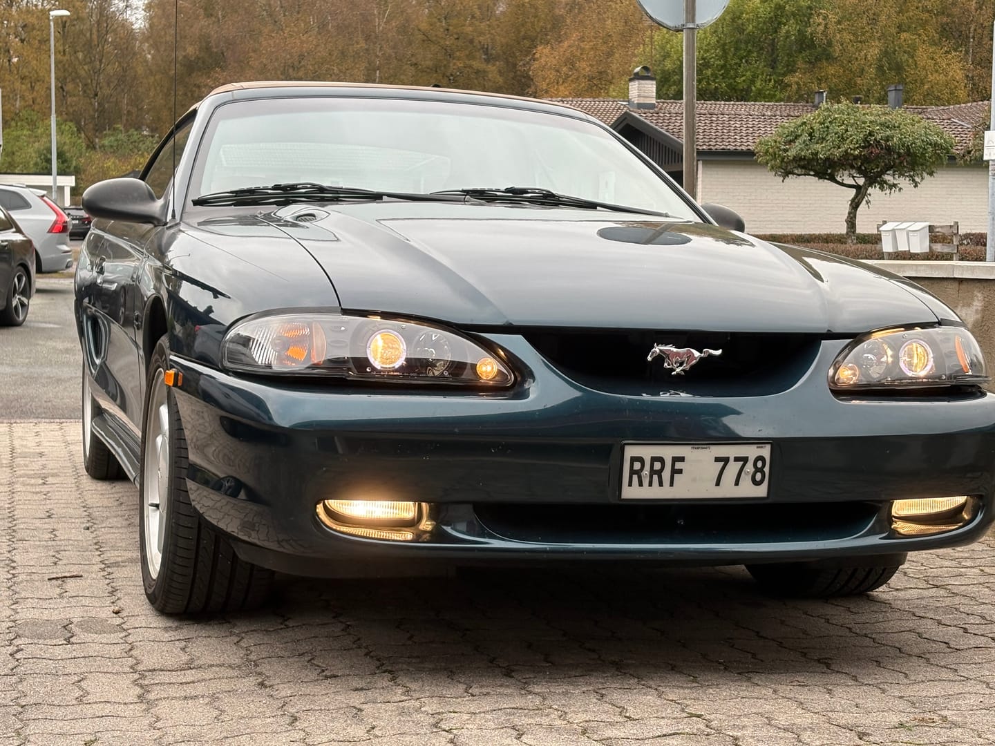 Customer photo review of Anzo 1994-1998 Ford Mustang Projector Headlights w/ Halo Black 1pc