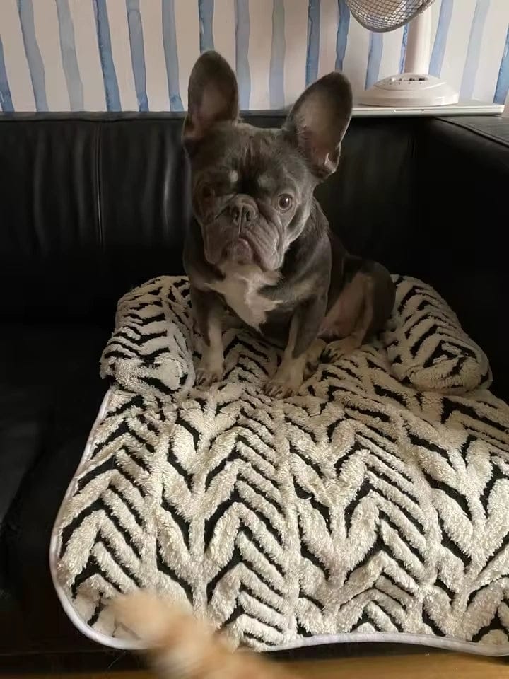 Customer photo review of Couchage protecteur de canapé — Favn