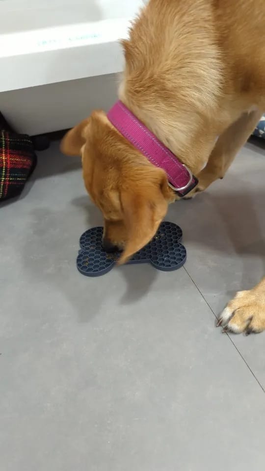 Customer photo review of Anxiety Relief Lick Pad