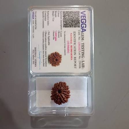 Customer photo review of Nepal Origin 10 Mukhi Rudraksha – 100% Natural & Certified
