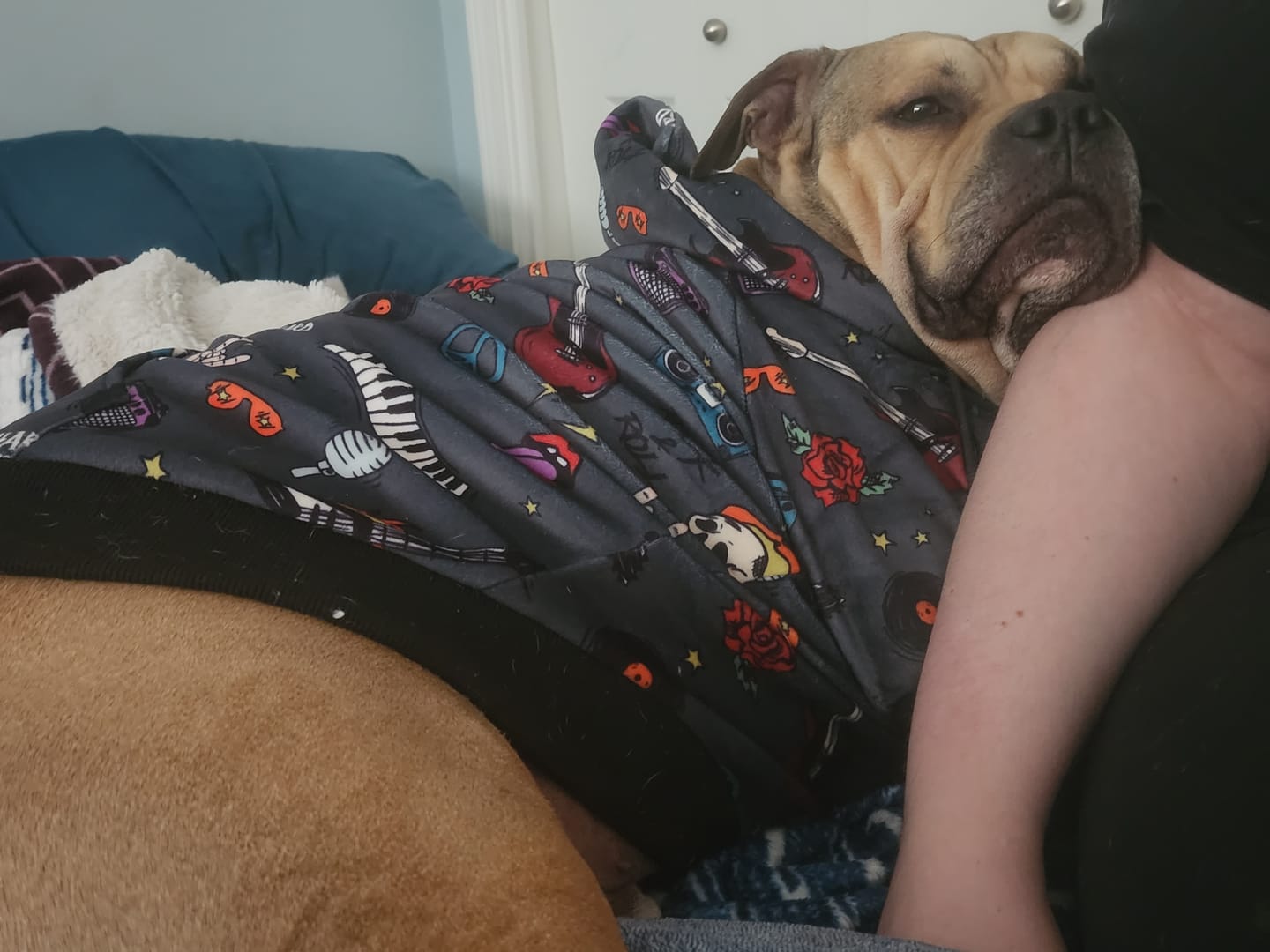 Customer photo review of Dog Hoodie Prints