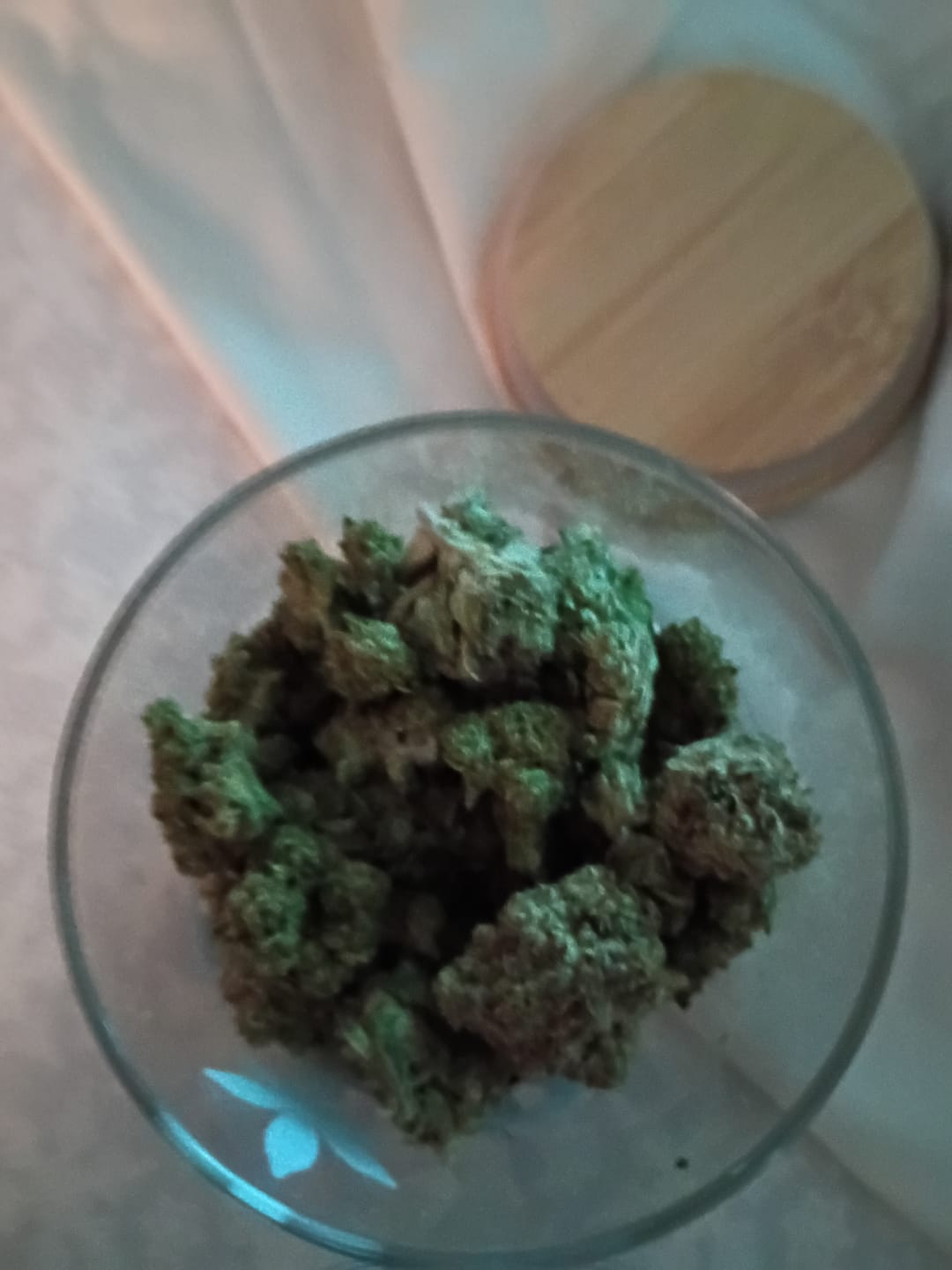 Customer photo review of Tropicana Cherry THCA Flower