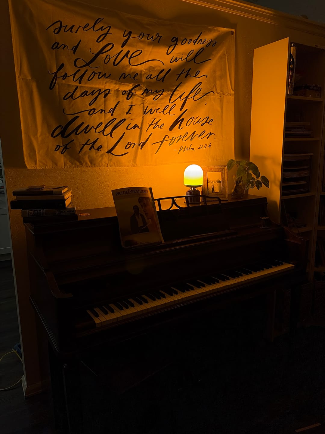 Customer photo review of Circadian Lightbulb™