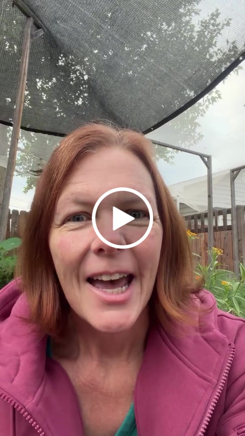 Customer video review of Toasty Touch® Ultra Thin Heated Gloves