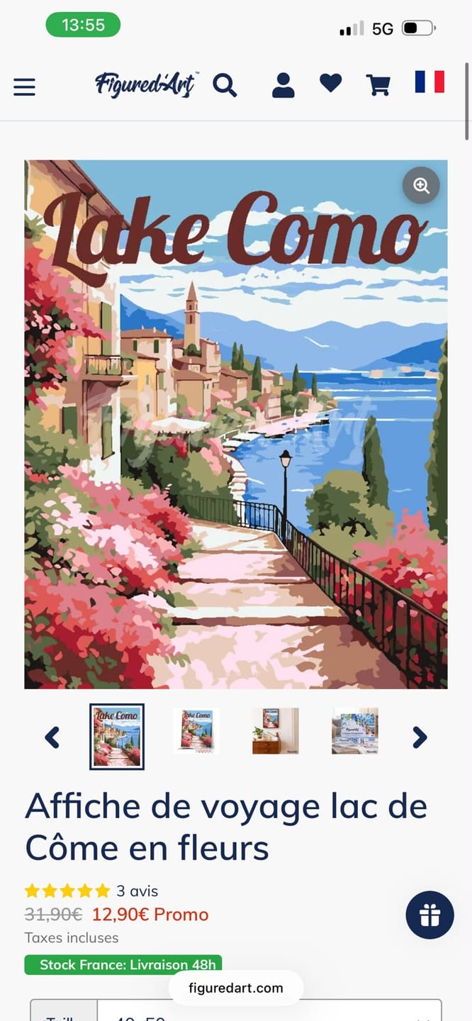 Customer photo review of Affiche de voyage lac de Côme en fleurs