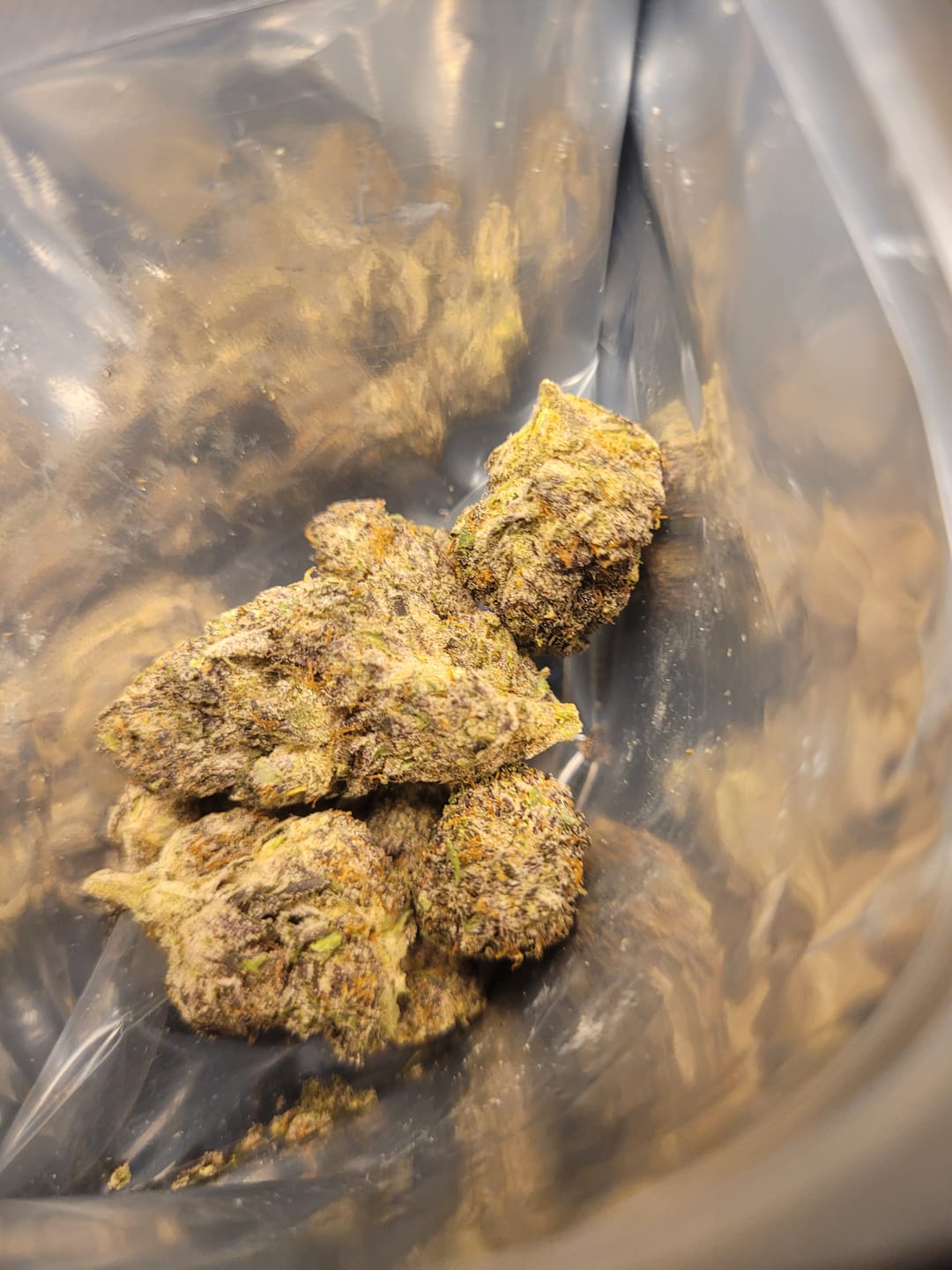 Customer photo review of Exotic Indoor Express THCA Flower (7 Grams)