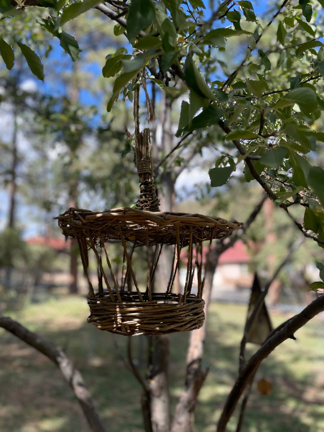 Customer photo review of The Willow Bird Feeder Course and Kit