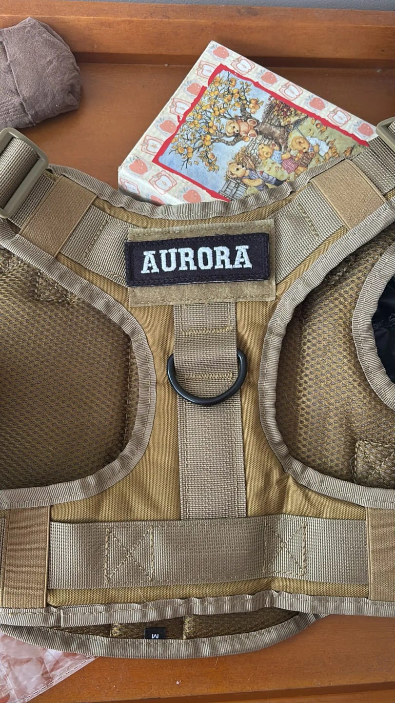 Customer photo review of 2-Piece Big Dog Harness & Lead Set – Heavy Duty Tactical No Pull