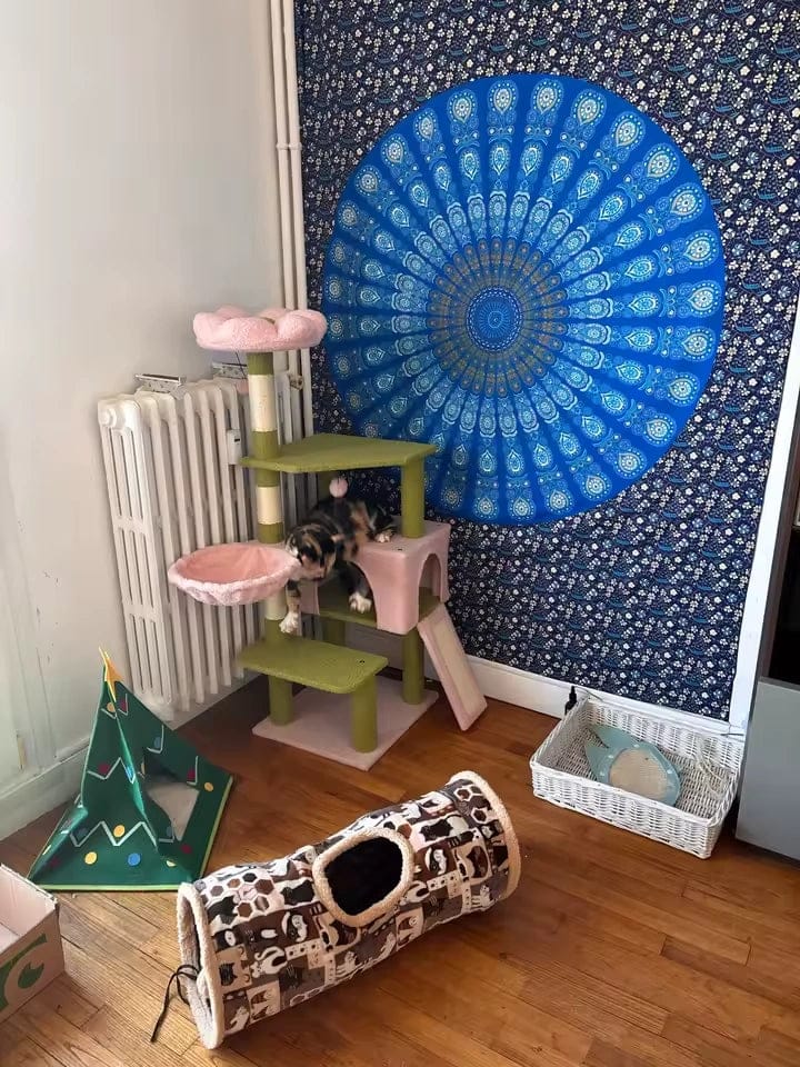 Customer photo review of Arbre à chat fleur rose et vert — Blom