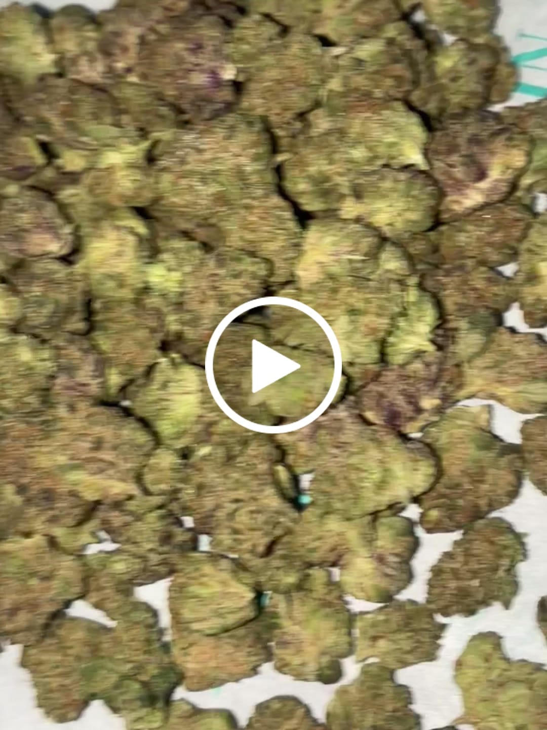 Customer video review of Purple Sizzurp Smalls - THCA Flower