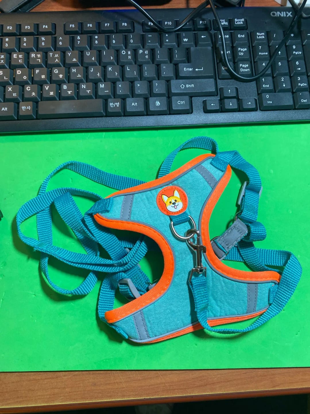 Customer photo review of Dogs Harness Vest Walking Traction Rope Reflective Straps Soft Mesh