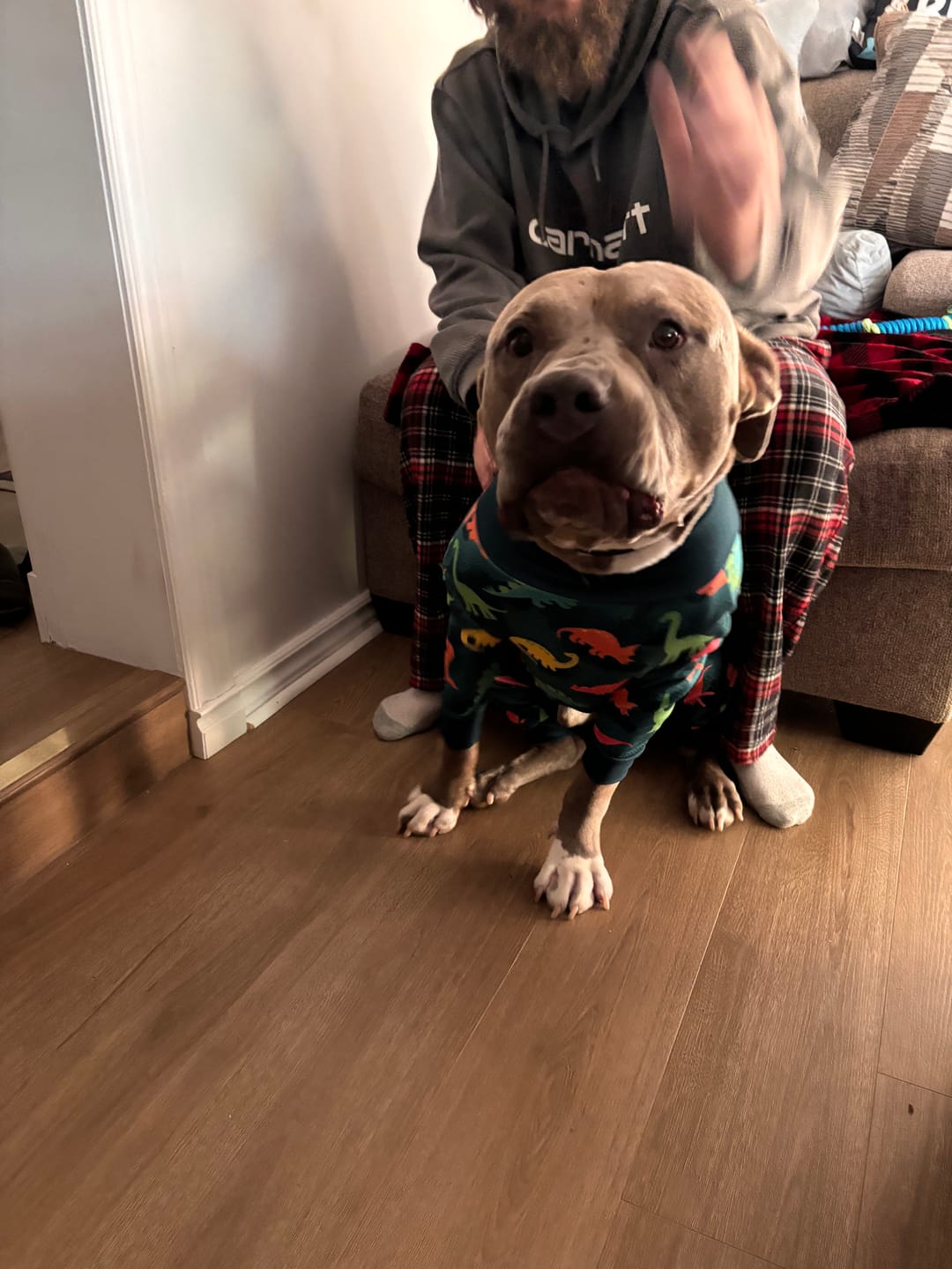 Customer photo review of Dog Pajama - Dinosaurs