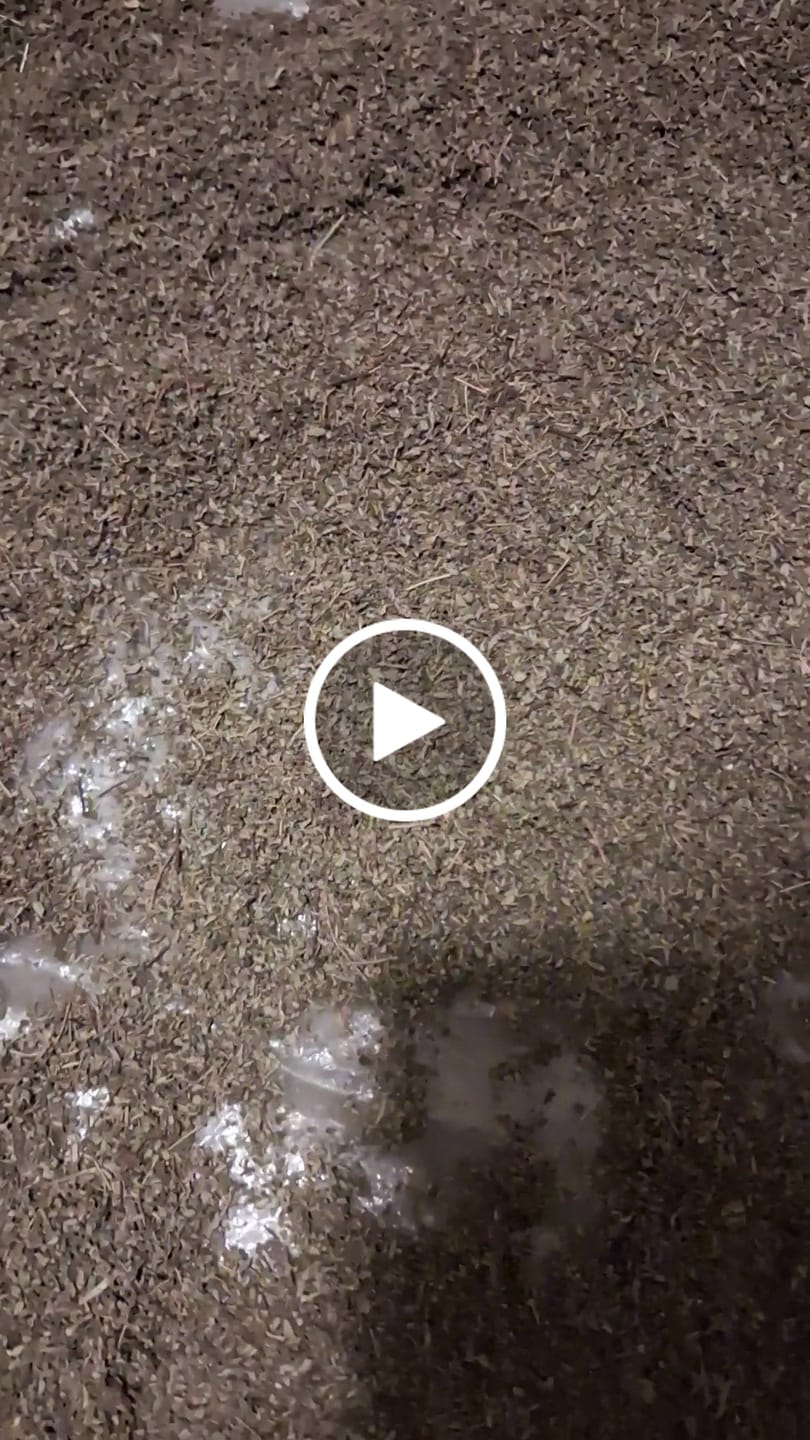 Customer video review of Damiana Leaf - 10 lbs.