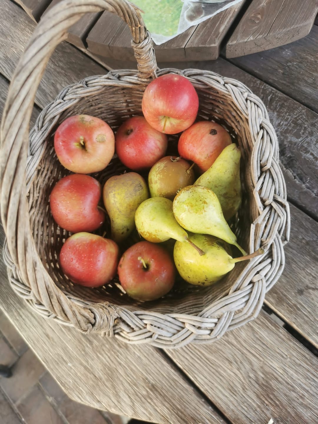 Customer photo review of Apfel Topaz bio regional Bioland Obstgut Erletz