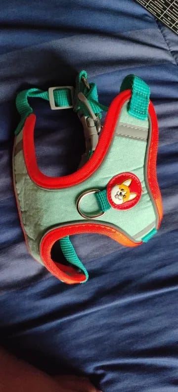 Customer photo review of Dogs Harness Vest Walking Traction Rope Reflective Straps Soft Mesh