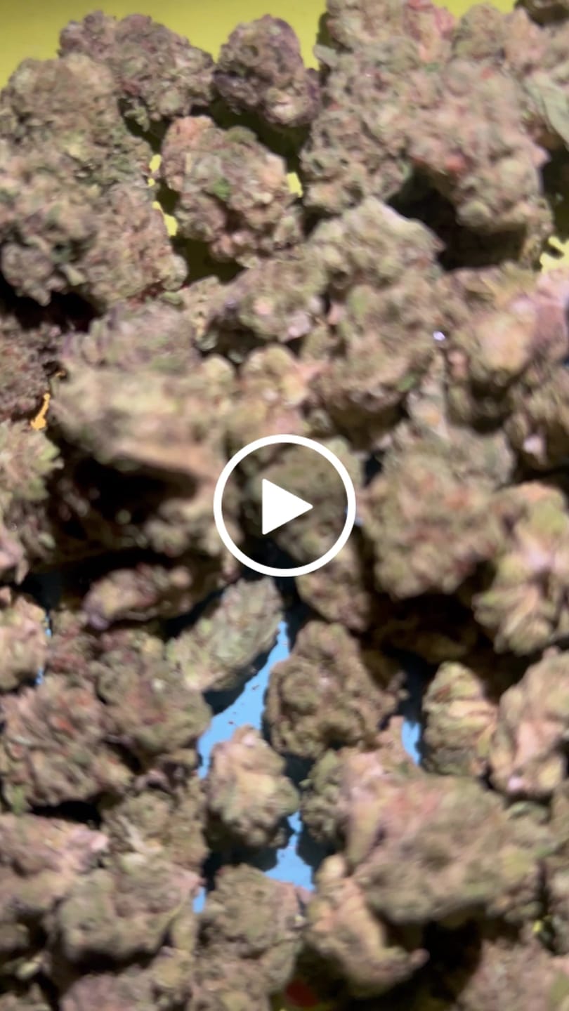 Customer video review of Greenhouse Smalls
