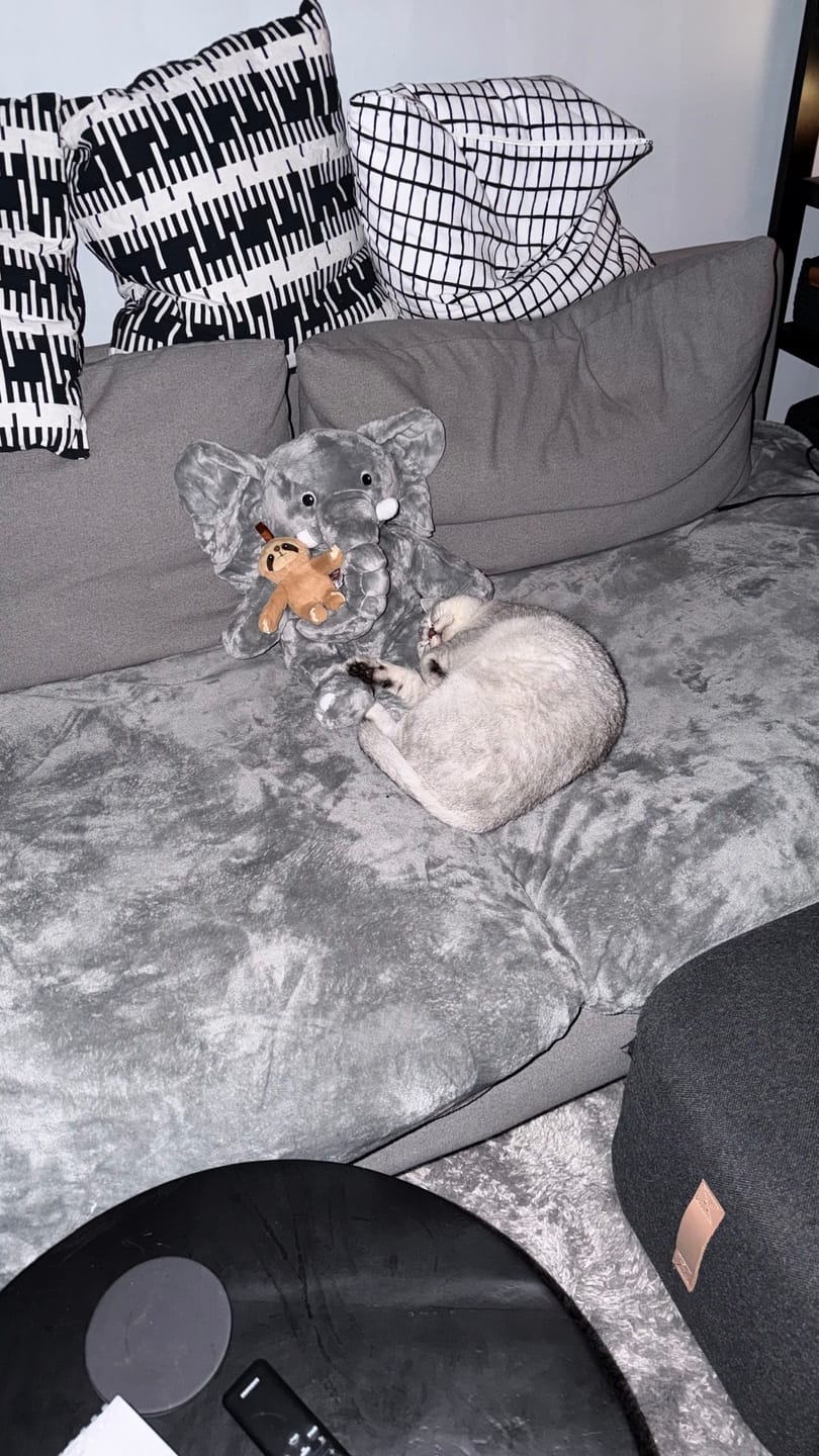Customer photo review of Lotgenootje Olifant 2kg