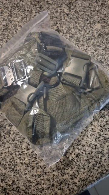Customer photo review of 2-Piece Big Dog Harness & Lead Set – Heavy Duty Tactical No Pull